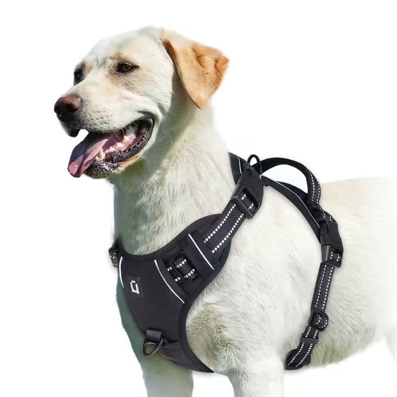 Happy Heel Control Harness