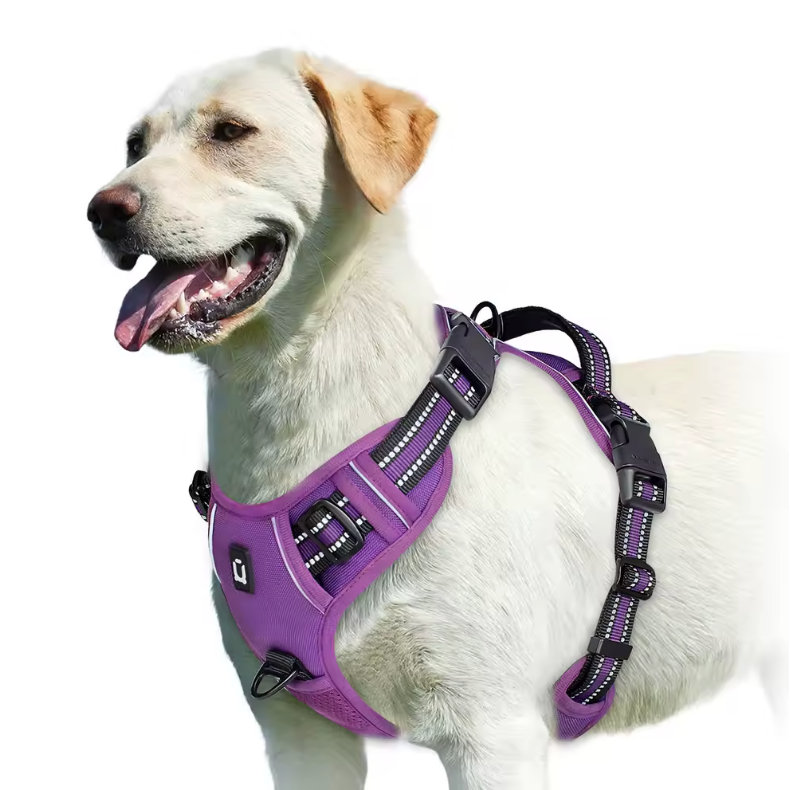 Happy Heel Control Harness