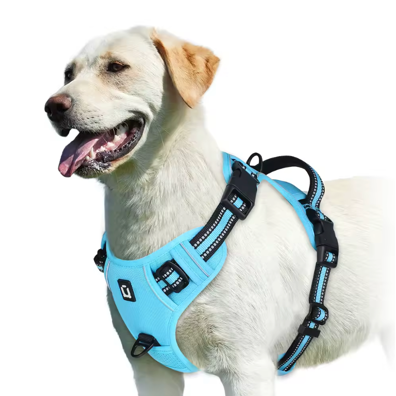 Happy Heel Control Harness