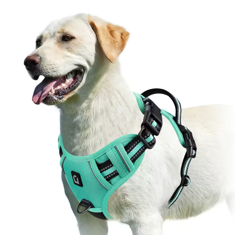 Happy Heel Control Harness