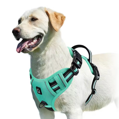 Happy Heel Control Harness