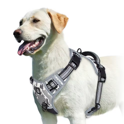 Happy Heel Control Harness