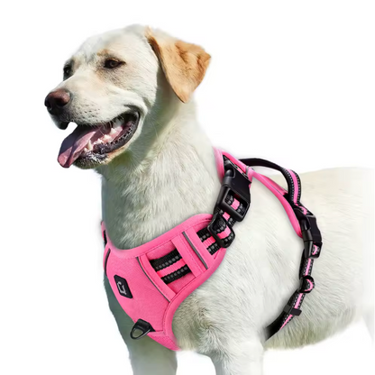 Happy Heel Control Harness