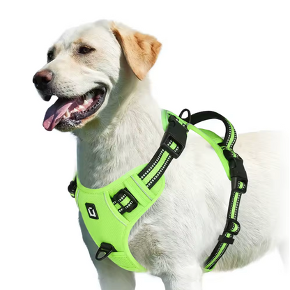 Happy Heel Control Harness