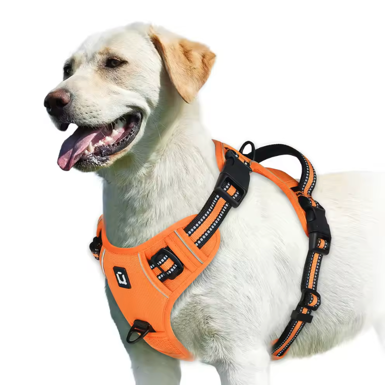 Happy Heel Control Harness